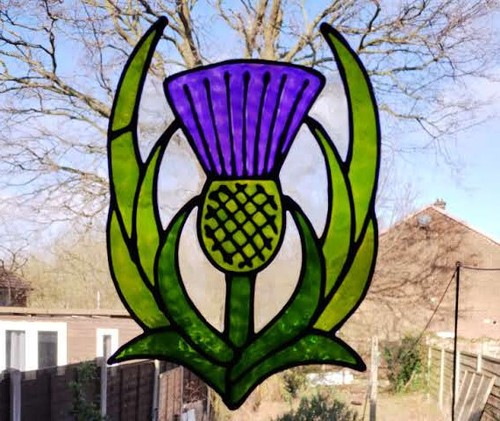 Thistle stained glass - thistle,