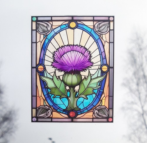 Thistle decorative stained - thistle,