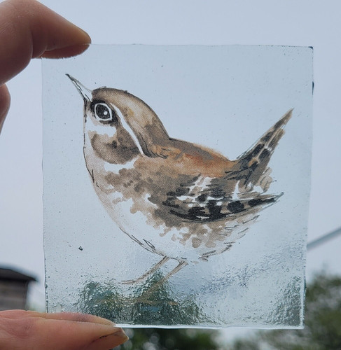 Stained glass wren - glass, nature