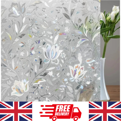 Rainbow frosted window film - window,
