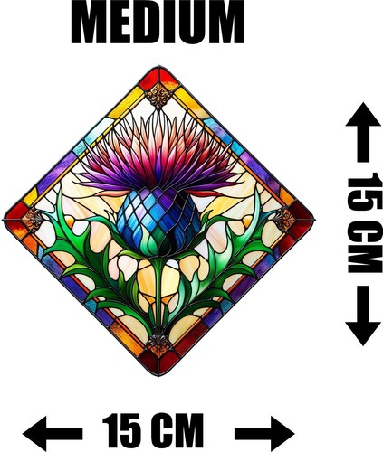 Thistle colourful decorative - thistle,
