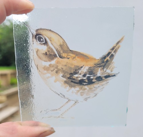 Stained glass wren - wren, nature