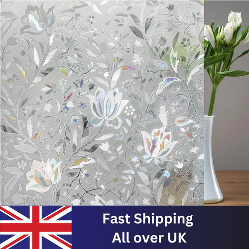 Rainbow frosted window - rainbow,