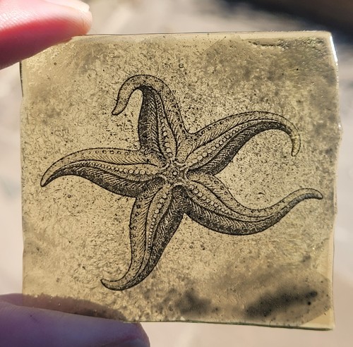 Stained glass starfish amber - stained,